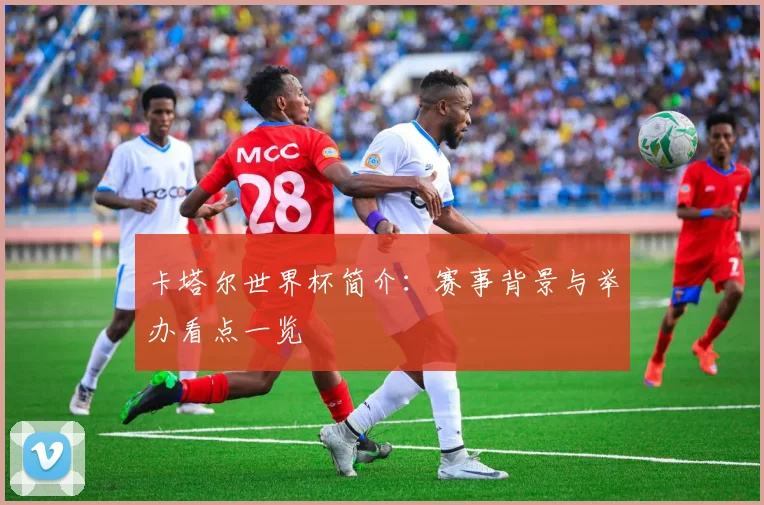 卡塔尔世界杯简介：赛事背景与举办看点一览