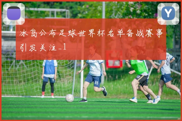 冰岛公布足球世界杯名单备战赛事引发关注_1