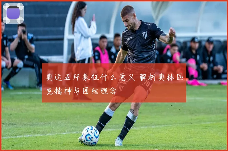 奥运五环象征什么意义 解析奥林匹克精神与团结理念
