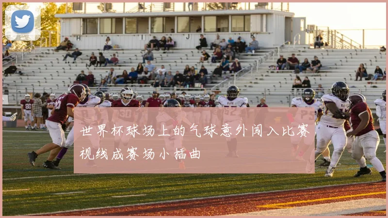世界杯球场上的气球意外闯入比赛视线成赛场小插曲