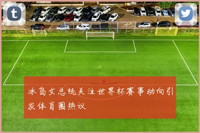 冰岛女总统关注世界杯赛事动向引发体育圈热议