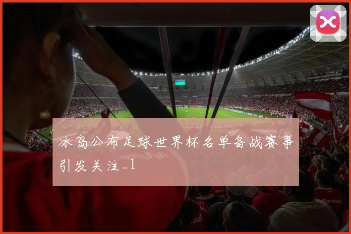 冰岛公布足球世界杯名单备战赛事引发关注_1