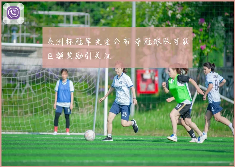 美洲杯冠军奖金公布 夺冠球队可获巨额奖励引关注