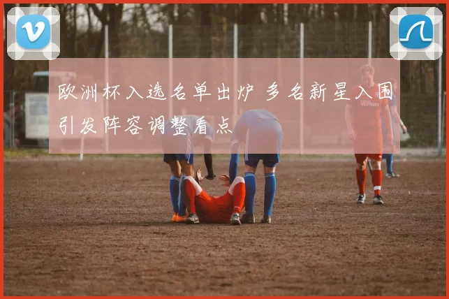 欧洲杯入选名单出炉 多名新星入围引发阵容调整看点