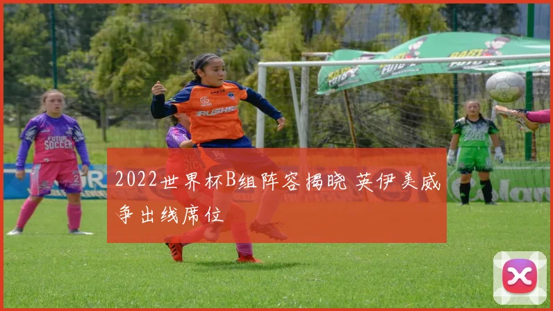 2022世界杯B组阵容揭晓 英伊美威争出线席位
