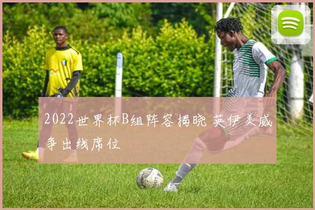 2022世界杯B组阵容揭晓 英伊美威争出线席位
