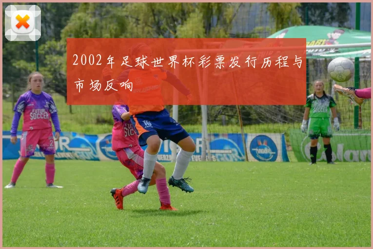 2002年足球世界杯彩票发行历程与市场反响