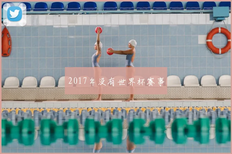 2017年没有世界杯赛事